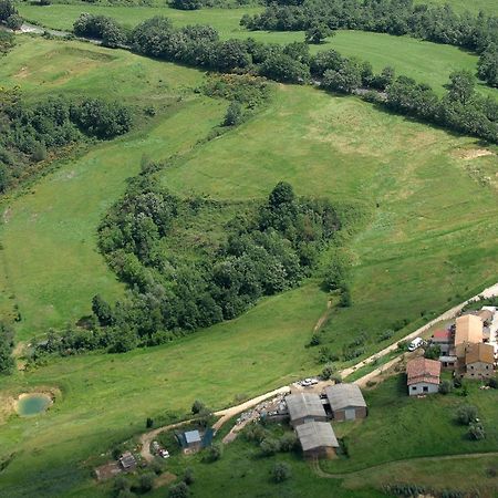 Гостьовий будинок Agriturismo Campo Antico Орте Екстер'єр фото